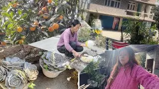Repotting my plants 🪴#lunch #orange #Succulents#food #family 