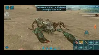 Without Edit or sound or music Tame a scorpion Ark mobile
