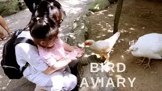 6. Farm In The City - Free Flight Bird Aviary