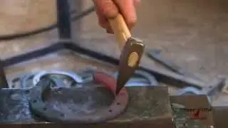 Five Star Horseshoeing School AFA Tester Updade 3 of 5