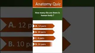Anatomy Quiz