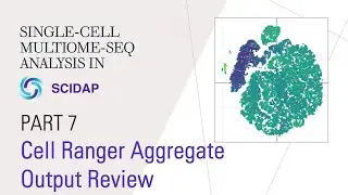 Single-cell Multiome (RNA+ATAC) Analysis 7: Cell Ranger Aggregate Output Review