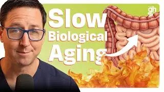Chronic Inflammation Is Aging You. Here's How to Take Control