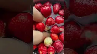 Kid Summer Activities| Strawberry Picking #kidsactivities #momlife #summer2023 #summertime #farm