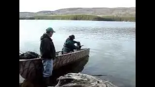 Cash boat Obonga
