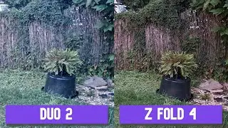 Camera Comparison! Samsung Galaxy Z Fold 4 vs Microsoft Surface Duo 2