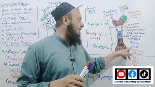 Unit#13 || Lecture#05 || Biology 10th || Topic:- Composition of Bone