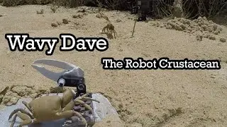 Robot Crab &ldquo;Wavy Dave&rdquo; Waves At Fiddler Crabs For Science, Gets Claw Ripped Off