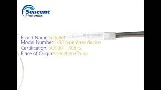1x32 PLC Splitter Low Loss Fiber Optic Network