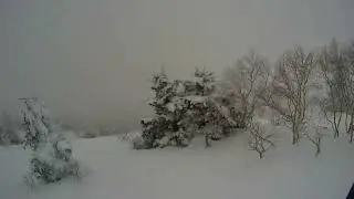 2026年1月24日 根子岳 唐沢尾根BC
