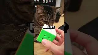 Cube Robot Can&rsquo;t Solve This Scramble! 🤯
