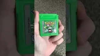 Pok&eacute;mon Green Version?