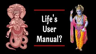 About Life's User Manual and Ojas Healing Membership | #yoga #selfcare