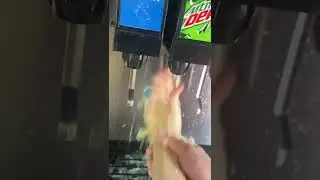 SODAS