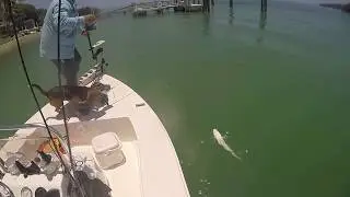 Double header redfish in the Keys