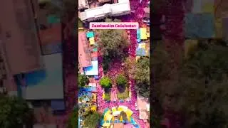 Zambaulim gulalutsav🙏goan tradition#damodar dev#trending#goan vibe #viralvideo#goanfestival#ytshorts