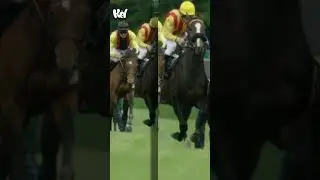 Gambling #horseracing #bitcoin #finacialfreedom #
