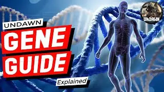 UNDAWN Gene Modification Guide | Full Explained | Sonic 9x 😎