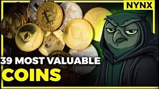 Crypto 101: Beginner-Friendly Guide to Top Coins