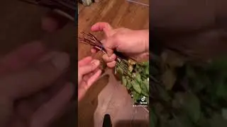 How to Harvest and Dry Mint