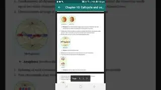 CLASS11 BIOLOGY CHAPTER-10 Cell cycles and cell division