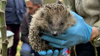 We knuffelen wat af met onze dieren