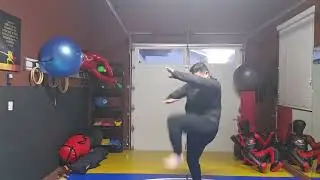 WTD Kickstance Combination 23, Retreating Set (Rank 3)