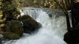 Whatcom Falls at Maximum Flood