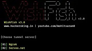 HOW TO INSTALL WishFish TOOL IN TERMUX