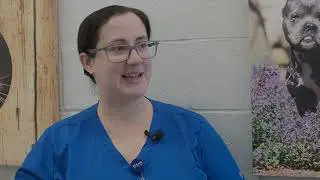 Grow in your job at Midland Animal Services