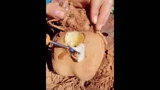 Farm Fresh Ninja Fruit Cutting (Oddly Satisfying Fruit Ninja)#282