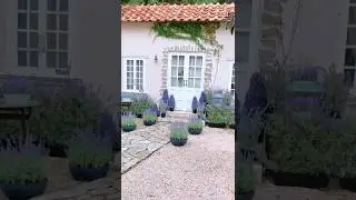 A5620224 1.64ft Purple Lavender Artificial Bonsai Potted Plants