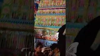 Tazia sambhal 2024# ya HUSSAIN #yaABBAS #Abbas ka nara #nadeem sarvar#nohey #viral