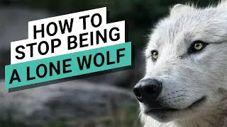 How to Grow Your Company When You Work Alone - How Do You Know if it's Time For You to Hire?