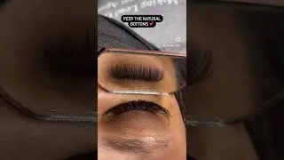 The MOST NATURAL bottom lashes EVER !!! 😰😱😱 #shorts #entrepreneur #beautytips #lashes #viral