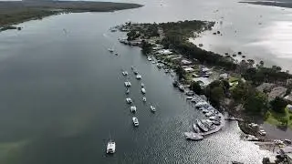 Tin Can Bay - Dolphins