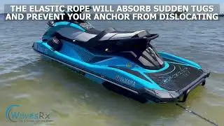 WAVESRX Beach Anchoring Bundle | 12