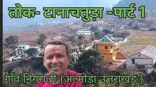 तोक-टानाचतुड़ा -पार्ट 1।गाँव निगराली (अल्मोड़ा उत्तराखंड )। Uttrakhand village life।। shyam da pahadi