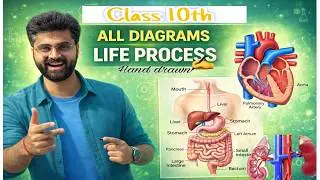 Life Process &ndash; ALL IMPORTANT DIAGRAMS | Class 10 Biology | Hand Drawn ✍️