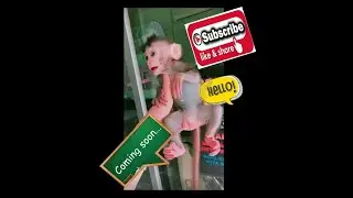 UNBOXING BABY MONKEY
