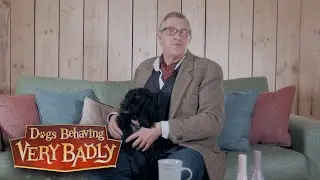 Getting A Puppy? | Getting A Dog | Dogs Behaving Very Badly