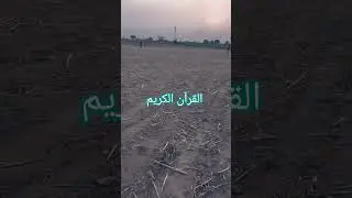 Quran Reaction with Urdu Translation ❣️ beautiful Quran