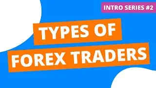 Types of Forex Traders: Which Is The Best Style For You?