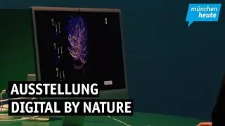 Eine Ausstellung, die Kunst und KI verbindet