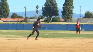 2013 Emily Brucelas