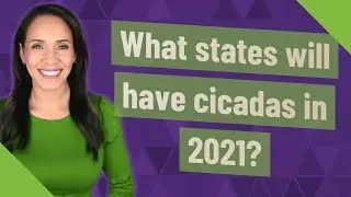What states will have cicadas in 2021?