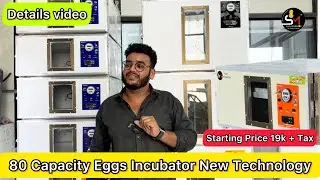 Best Incubator For Chicken Eggs with Chicken100% Efficiency Chicken Hatchery Poultry Egg Incubator