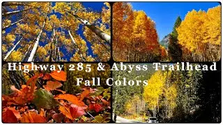 Highway 285 & Abyss Trailhead Fall Colors: A Stunning Autumn Drive