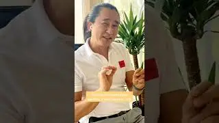 Что такое персональная мантра в медитации?