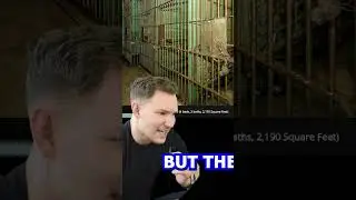 A REAL PRISON UNDER THAT HOUSE??